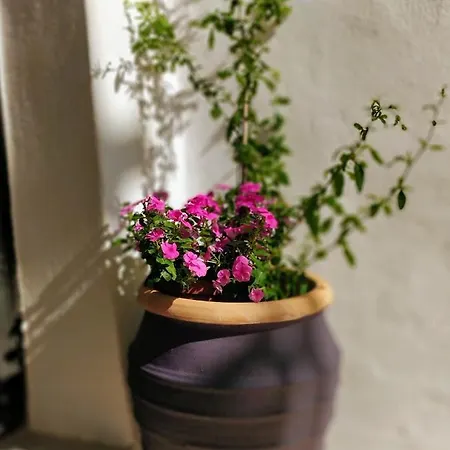 Apartment Old Port - Bellavista Chania (Crete)